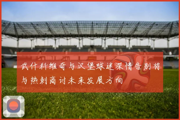 武什科维奇与汉堡球迷深情告别将与热刺商讨未来发展方向